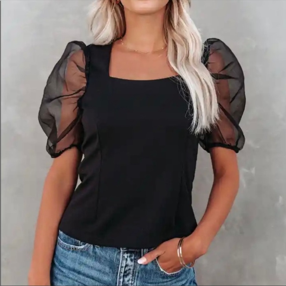 Vici Organza Sleeve Top, Size Small